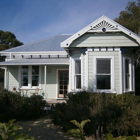Lavender53 Villa Martinborough Dış mekan fotoğraf