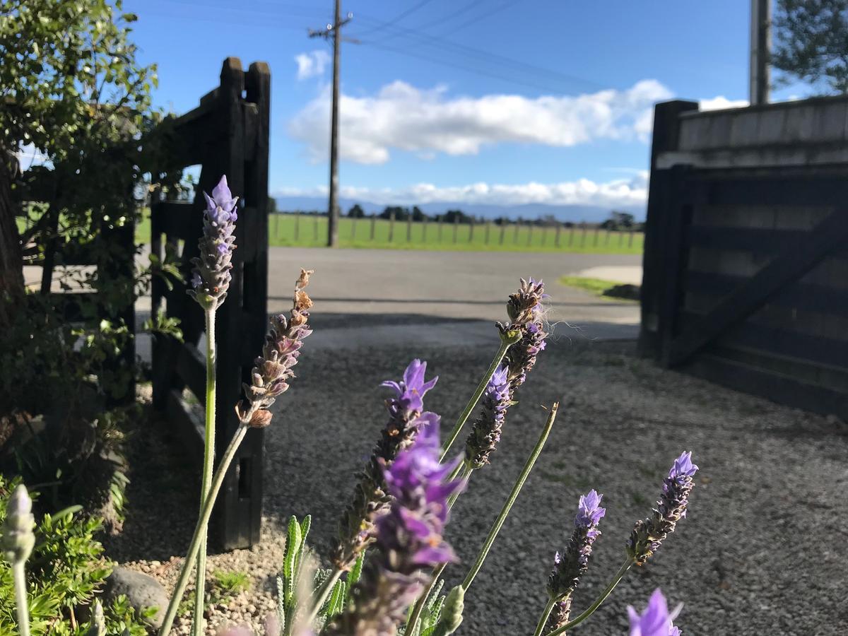 Lavender53 Villa Martinborough Dış mekan fotoğraf